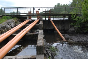 Vinslövssjöns dammluckor har stängts och tömningen av sjön pausats. Foto: Urban Önell