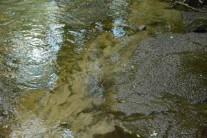 Tjocka lager sediment har samlats vid åkanterna. Bottnarnas färgskiftningar är också slam som lagt sig. Foto:  Berit Önell