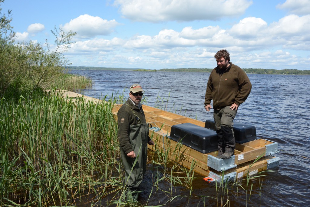 Fiskevårdsföreningens ordförande Mats Bengtsson och instruktören Mattias Lövqvist från Naturbruksgymnasiet i Osby arbetar med flytbryggan i Finjasjön. Foto: Berit Önell