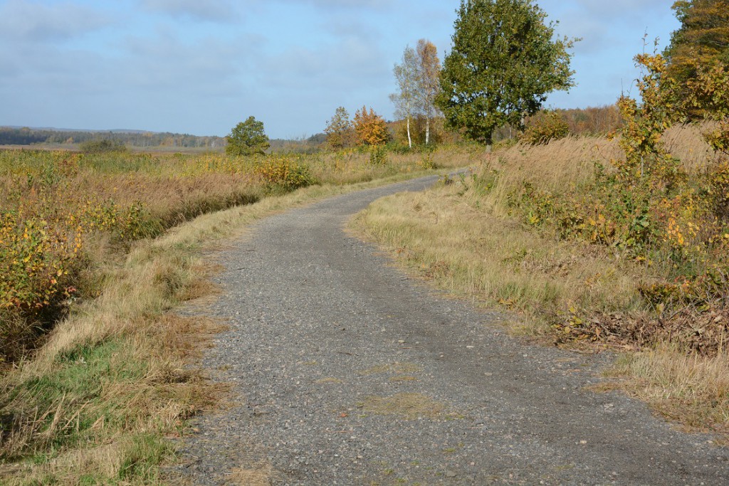 Kommunen har lagt miljöfarlig asfaltkross på fler sträckor av Skåneleden vid Finjasjön. Nu måste all asfalt bort. Foto: berit Önell