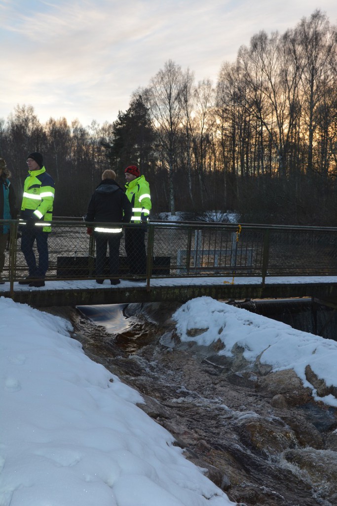 Vattnet släpptes på till den nya fiskvägen som är cirka 100 meter lång.