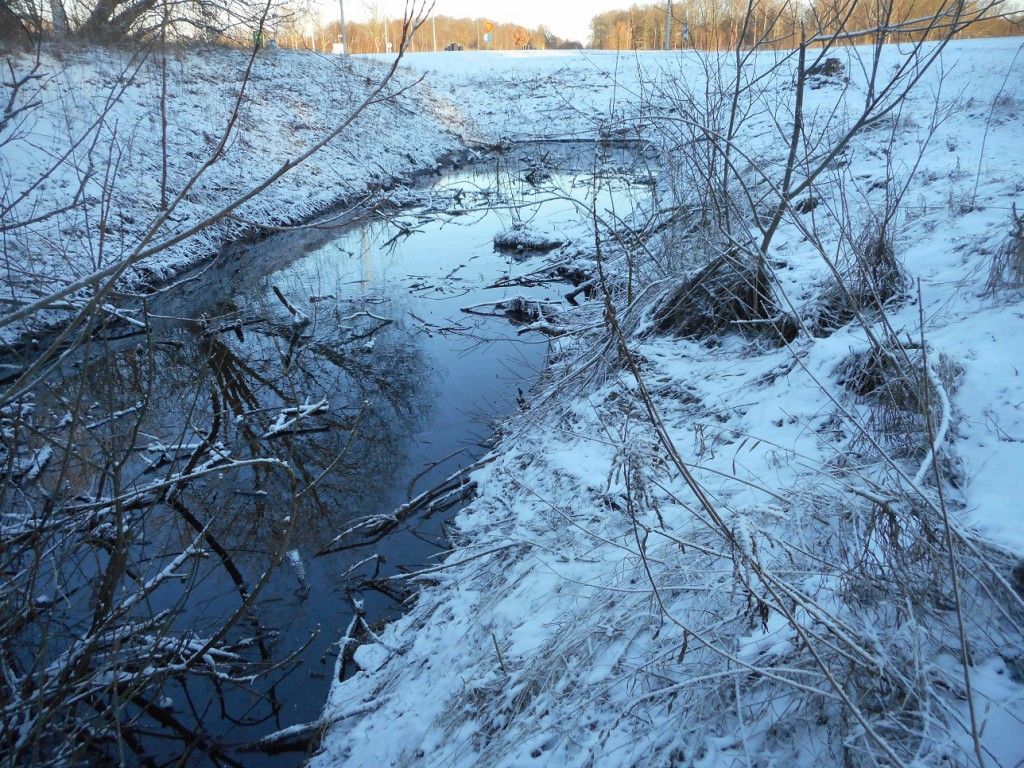 Miljökontoret har nu varit på plats, men har inga svar på varför Sötekärrsbäcken värms upp, trots vinterkylan. Vattentemperaturen har nu ökat, från sju till nio grader.