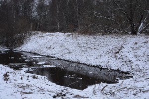 Sötekärrsbäckens övre del var isfri när allt annat var fruset. 