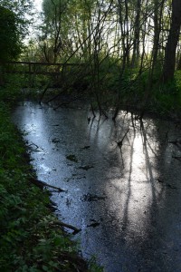 Att fylla igen den förorenade Sötekärrsbäcken kan leda till att det förorenade vatten som tillförs istället följer grundvattenströmmarna till dricksvattenbrunnar i området.