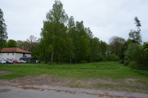 Gunnar Swärdh, kommunens parkförvaltare, anser att hemtjänstpersonalens parkering orsakade skötselproblem. Marken är planlagd som parkmark.