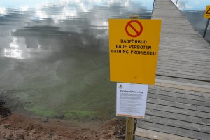 Det är badförbud vid Björkviken på grund av algblomning. Det gäller sedan den 28 juni, men kommunen har fortfarande inte informerat på sin hemsida. Foto: Berit Önell 