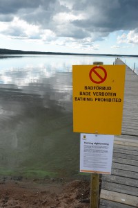Skylten om badförbud kom upp först tre veckor efter att algblomningarna börjat. De har dock varierat i omfattning. Foto: Berit Önell