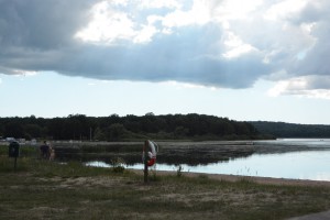 Vattenväxterna breder ut sig mellan Björkviken och Tormestorps båthamn.