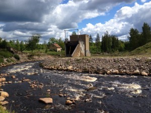 Det stora dammraset i Hästberga har skapat en intressant biologisk mångfald. Foto: Lukas Österling, Länsstyrelsen Skåne