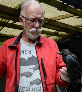 Håkan Winqvist i Katastrofhjälp fåglar och vilt har lång erfarenhet av att hjälpa fåglar som skadat sig på olika vis.