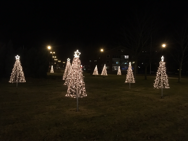 Hässleholms stad har rejält med julbelysning av olika slag. Gräsmattan i rondellen Grönängsplan är fylld med upplysta julgranar. Foto: Lotta Persson
