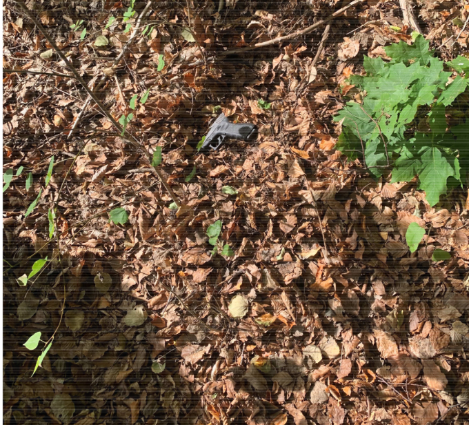 Polisens hundpatrull hittade vapnet i skogen. Foto ur förundersökningen