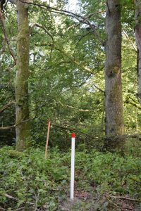 Bilden visar ett av grundvattenrören i skogen.