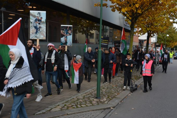 Bilden visar demonstrationståget.