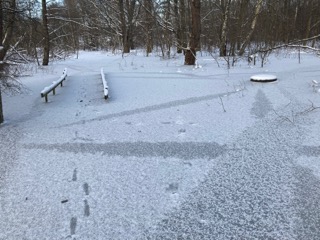 Bilden visar en brunn i översvämmat område med is och snö.