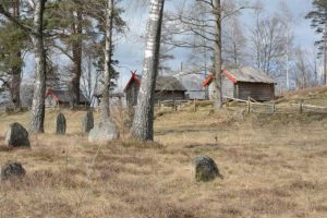 Bilden visar Vittfarnas vikingaby.